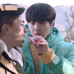 <b>백</b><b>낭</b>vs스타트업vs유잡