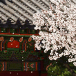 [댓글부탁해] +) 독립운동 하는 삶 ㅈㄴ 벅차겠음 下