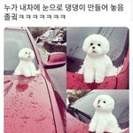 나진짜<b>멘탈</b>에따라공부결정되는듯