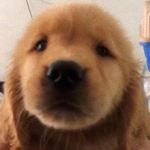 [ㅈㄱㄴ] ㅅㅂㅅㅂ 나 연애 상담 좀 ㅠㅠㅠㅠㅠㅠㅠㅠㅠ