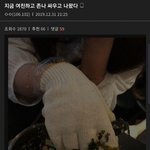 [19] <b>남초</b>에서 주작하는거 봐