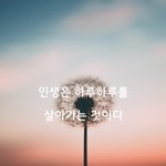 [<b>감성</b>글] 인생은 하루하루를 살아가는 것이다