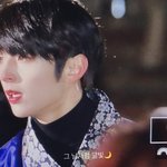 골차 <b>와이</b>