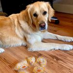 해놓고도 왠지 <b>뿌듯</b>한 솜털 챌린지