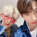 찐 머글이 보가 좋은 고셉 추천 좀