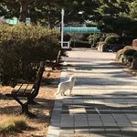 고양이 <b>포착</b> ㄷㄷ