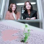 취준생 공감 자극한 <<b>허쉬</b>> 수연-지수 서사