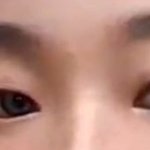 [드루와] 개얇은 속쌍인데 쌍수할깡?