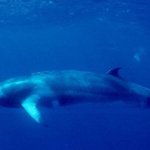 [댓글부탁해] 얘들아 나 <b>제주</b><b>도민</b>인데 드러와줘