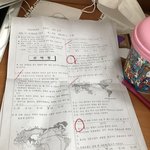 사회 1면 <b>채점</b> 결과는? 망했을까?
