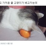 내가 판 <b>운영</b>자라면 하고싶은게 많아