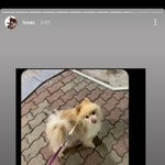 [댓글부탁해] <b>혜안</b> 이거 어케 안 걸까??