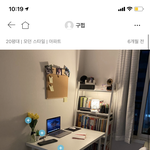 인테리어 튤립 색 추천좀 ㅠㅠ남친생긴다!̆̈