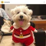 [NCT즌] 념념이 인스타 홍보합니다