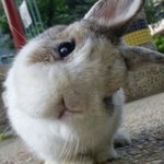 <b>쿠팡</b> 알바 해 본 사람!!
