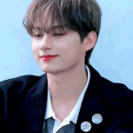 [모두드루와] 세븐틴 탈덕할 수 없는 이유