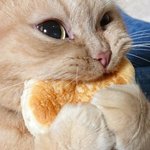 이 팝송 전세계에서 한국에서 젤 인기 많았다는데