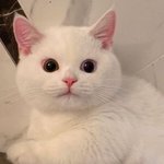 [19] +)<b>쑥맥</b>남친이랑 싸우다가 첫키스함 후하후핳