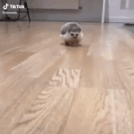 너희 <b>라바</b> 아냐