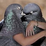 <b>디</b><b>패</b>유출 대박 키스사진 떴어
