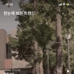 <b>아오</b> 멜론 이 배경 못끄나
