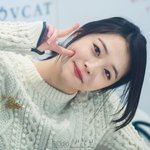 아이돌 3대 <b>복숭아상</b>