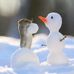 근데 예쁜 사람들 중에 메<b>부리</b> 많지않냐