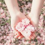 [<b>감성</b>글] 오늘이 그런 날이에요