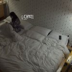 츄 진짜 귀엽지 않냐