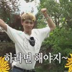 [NCT즌] ⭐️⭐️⭐️⭐️⭐️<b>팬</b>톡공지⭐️⭐️⭐️⭐️⭐️