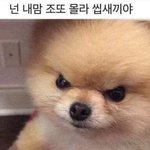 [댓글부탁해] 온클과<b>제안</b>하는거 추반 부탁