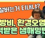 샘해밍턴 난방비, 환경<b>오염</b> 지적당함 ㄷㄷㄷㄷㄷ
