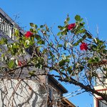 [드루와] 가요대축제 <b>사녹</b> 취소?