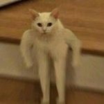 [드루와] 헐 나 개신기함