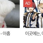 <b>영자</b> 하다하다 메인에 광고거는거 ㄹㄱㄴ