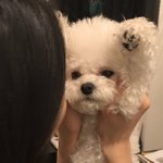 흑발 <b>개찰</b>떡 렌즈 추천좀 ㅠ