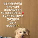 [모두드루와] 에이핑크 또 임시보호하네...