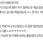 [ㅈㄱㄴ] 이때로 돌아가고싶다