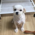 얘들아..이거 귀신이냐 <b>설마</b>