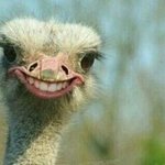 겨울에 수술할땐 꼭 왼팔 겨털을 제모하렴