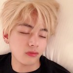 <b>뷔자</b>는짤2