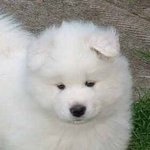 [드루와] 팬들이 맨날 시고르브백구라 놀려서 섭섭했던 <b>문익</b>이