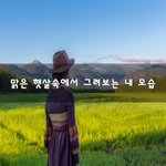 [이것좀봐줘] 맑은 <b>햇살</b>속에서 그려보는 내 모습~