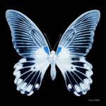 나만 메<b>부리코</b> 부럽냐..