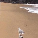 인스타 맞<b>팔</b>하<b>사람</b>???