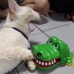 [댓글부탁해] 하..ㅅㅂ 모솔 나밖에없냐?