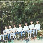[빅톤] 앨리스들 나 궁금한 거 있어
