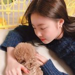 [댓글부탁해] 너네라면 대학어디감