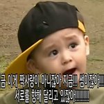 근데 이 짤 <b>시초</b>가 어디임