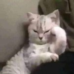 [19] 너네 <b>넷상</b>으로 연락해본 적 있음?